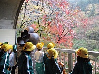 紅葉も楽しみました