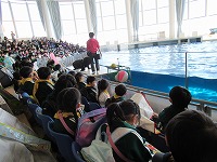 水がかかってもいいよう準備万端です