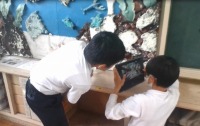 科学(2) 科学(2)