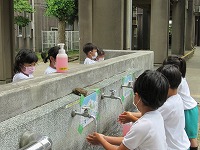 研究授業4 研究授業4