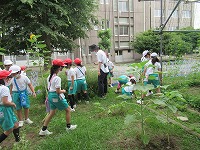 虫をさがそう1
