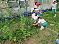 虫をさがそう2