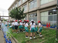 虫をさがそう3 虫をさがそう3