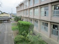 花壇