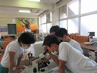 理科の授業の様子1