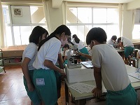 理科の授業の様子2 理科の授業の様子2