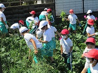 除草作業2
