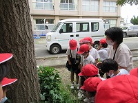 授業の様子1