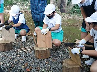 細木を作っています
