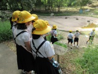 IMG_0273 IMG_0273