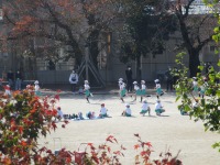 IMG_0664 IMG_0664