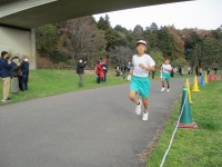 IMG_0856 IMG_0856