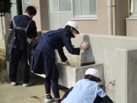 IMG_1429 IMG_1429