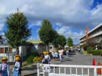 IMG_3874 IMG_3874