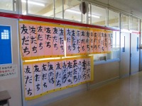 IMG_4669 IMG_4669