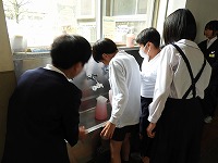 保健委員の活動