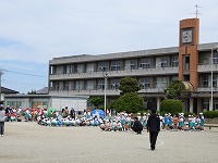 種目前の様子