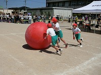 第1部大玉転がし