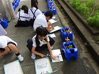 朝顔観察