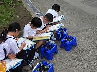 スケッチ中