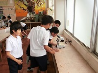 双眼実態顕微鏡にて、観察中