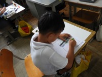 DSCN0929 DSCN0929