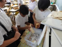 ベルマーク回収中 ベルマーク回収中