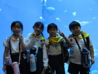 IMG_0559 IMG_0559
