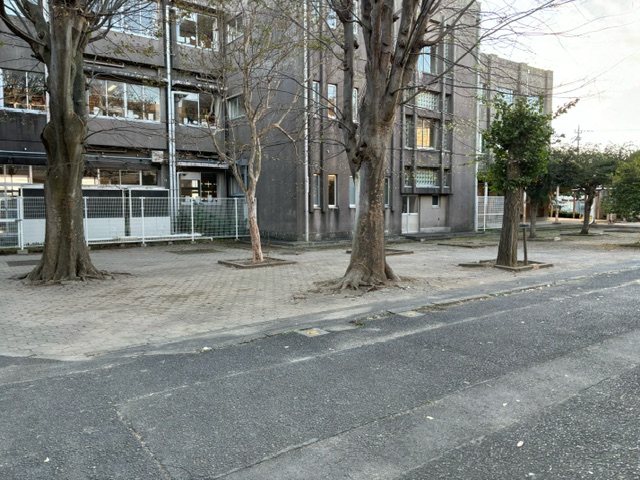 中庭もすっきり