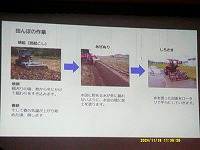 稲の生長についてお話しくださいました