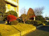 16時前なのに、影が長い