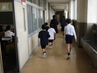 1年生こっちだよ