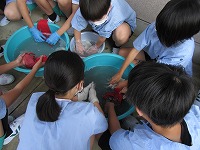 IMG_2942 IMG_2942
