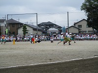 IMG_6225 IMG_6225