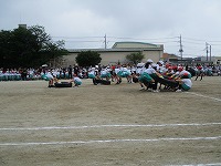 IMG_6231