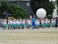 IMG_6238
