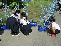 IMG_6280