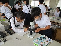 IMG_6697 IMG_6697