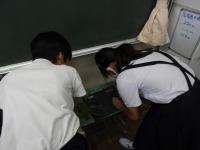 DSCN1911
