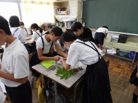 DSCN1912 DSCN1912