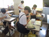 IMG_6841 IMG_6841