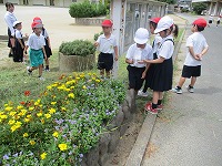 IMG_6851 IMG_6851