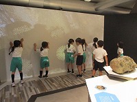 IMG_6920