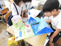 DSCN1935 DSCN1935