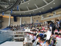 IMG_7015 IMG_7015
