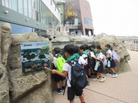 IMG_7047 IMG_7047