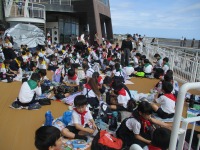 IMG_7033 IMG_7033