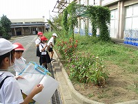 IMG_7082