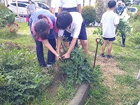 DSCF0244