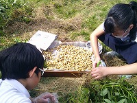 DSCF0254 DSCF0254